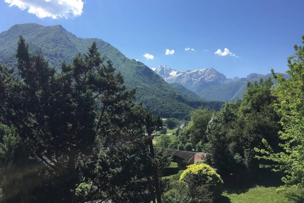 Chalet De L'Ours Brun, Gite 3 Etoiles Gere-Belesten Экстерьер фото
